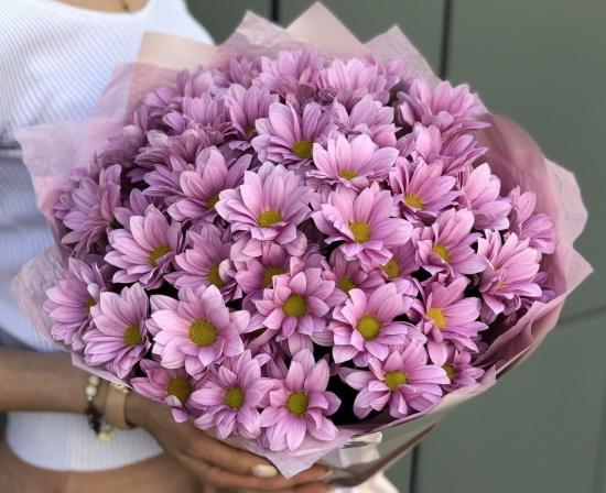 Хризантема черенок Rihanna